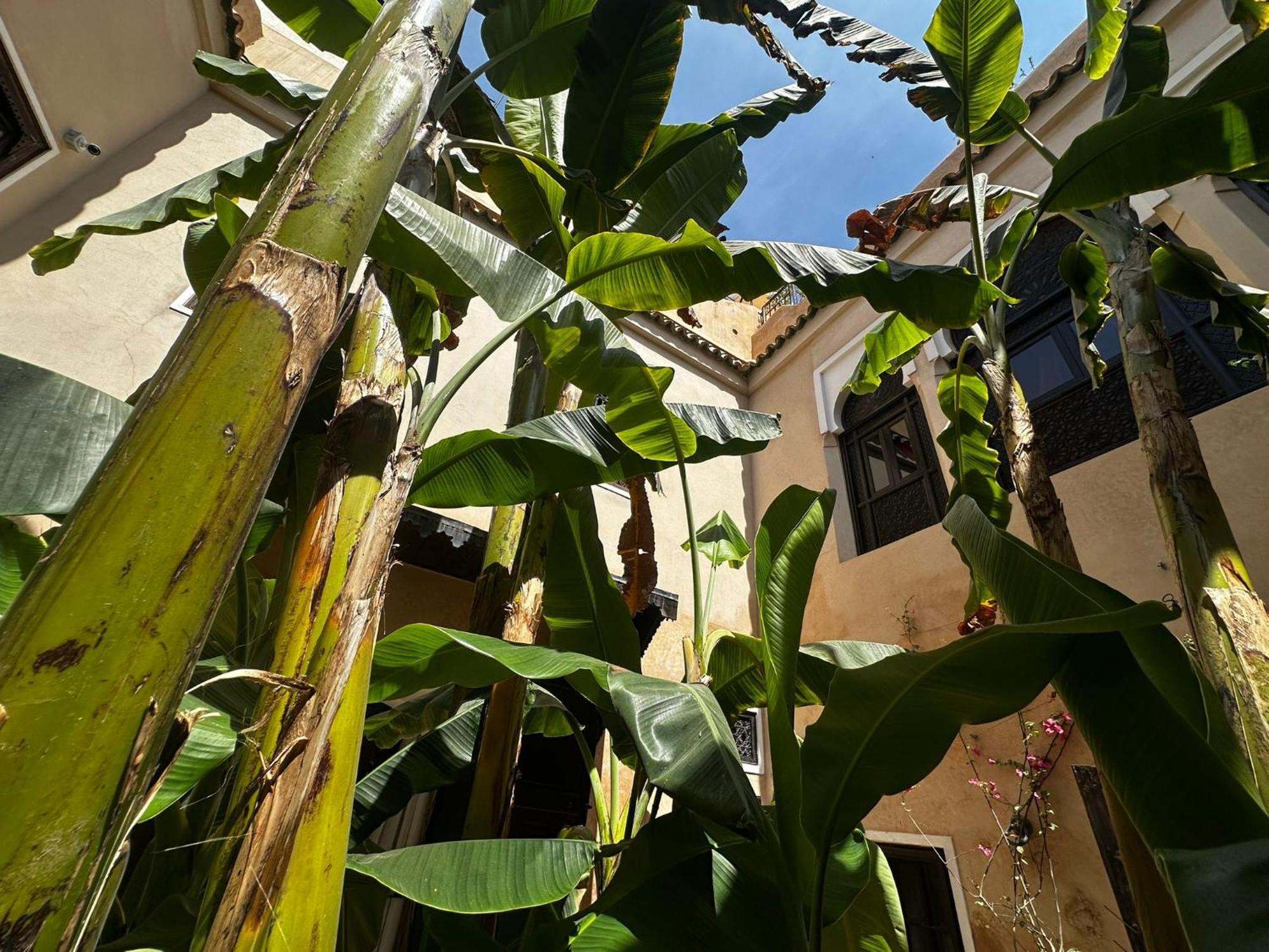 Riad Bamileke Marrakesh Extérieur photo